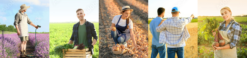 Set of working farmers in fields