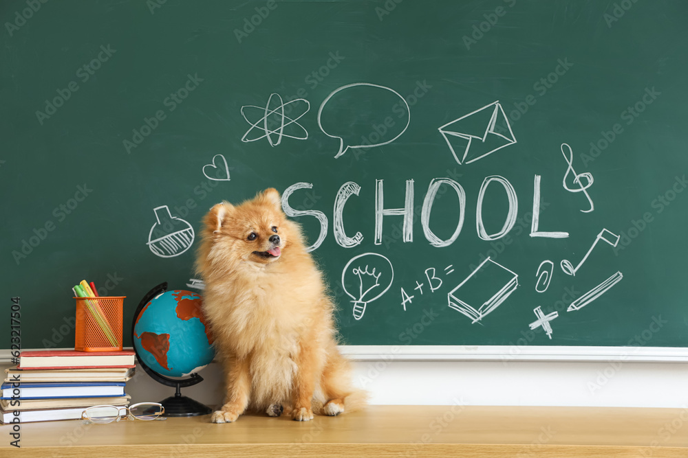 Pomeranian dog with school supplies on table near chalkboard