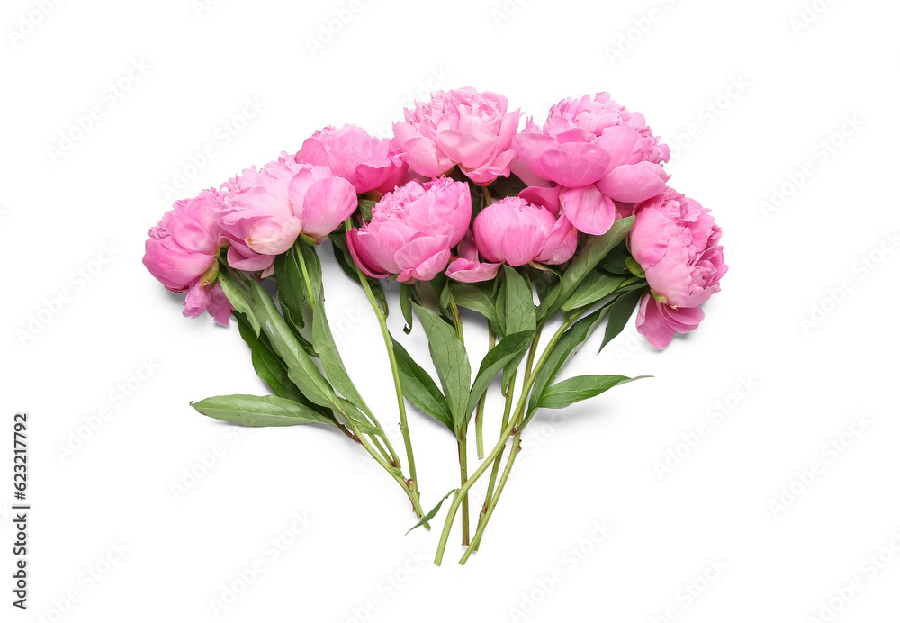 Bouquet of pink peony flowers on white background