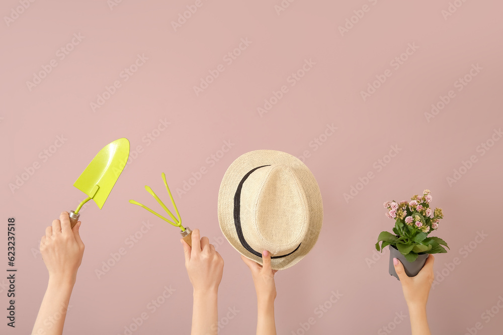 Women with plant and different gardening tools on pink background