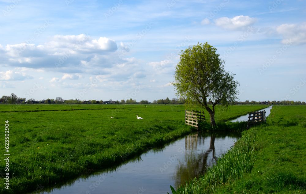 Landscape green meadow and canal with clear water