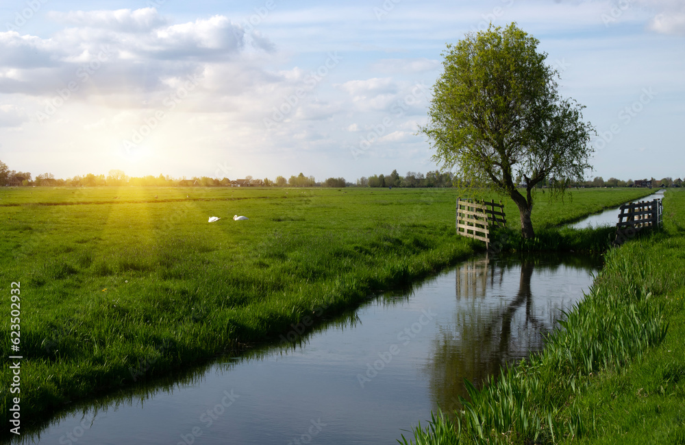 Landscape green meadow and canal with clear water