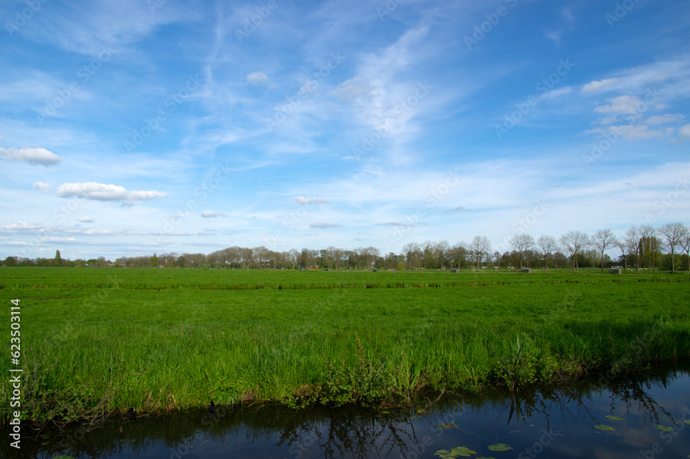 Landscape green meadow and canal with clear water