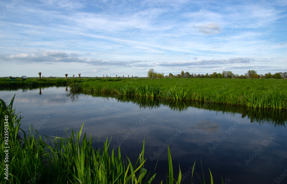 Landscape green meadow and canal with clear water