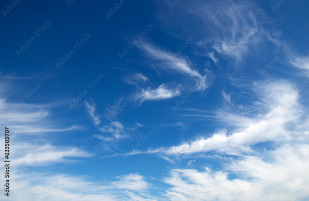 White fluffy clouds in the sky.