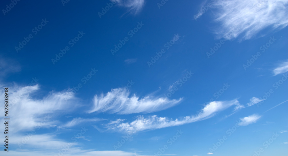 White fluffy clouds in the sky.