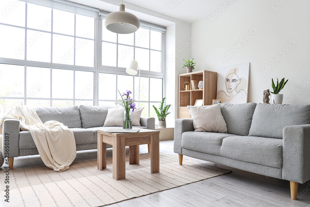 Interior of light living room with grey sofas and big window