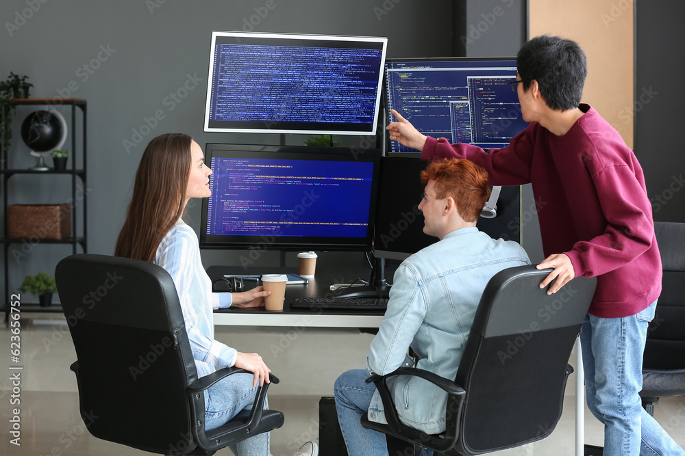 Young programmers working in office