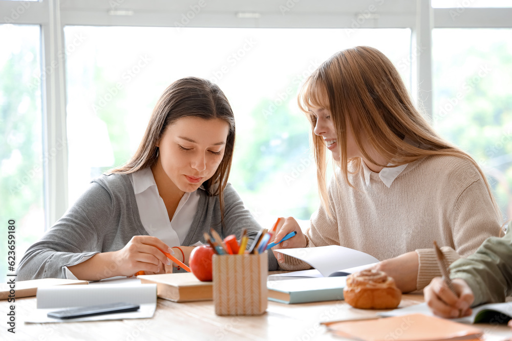 Female students studying at table in classroom