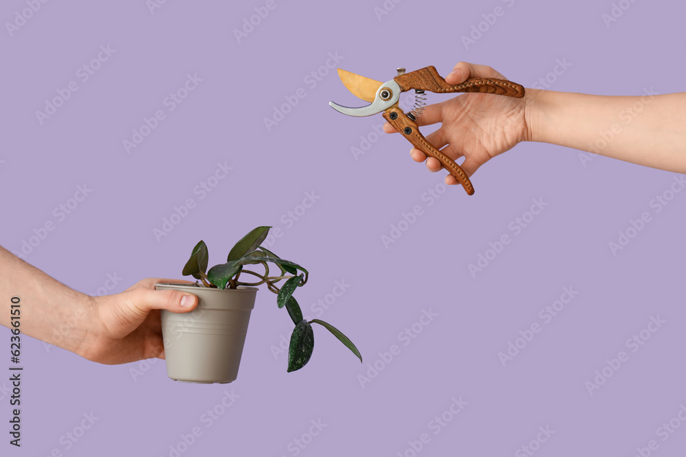 People with plant and secateurs on lilac background