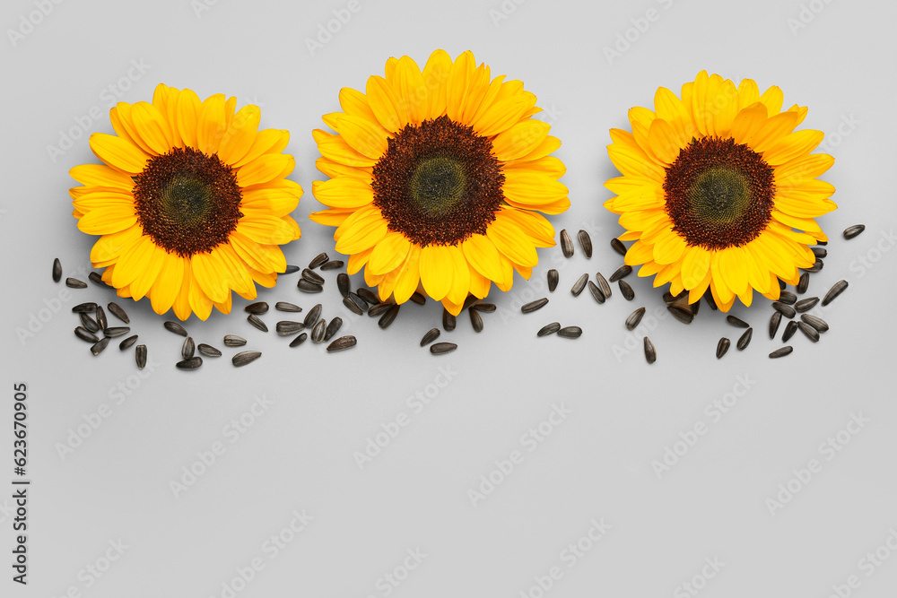 Beautiful sunflowers and seeds on grey background