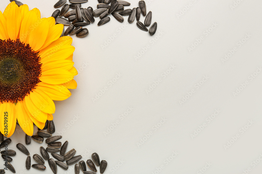 Frame made of beautiful sunflower and seeds on grey background