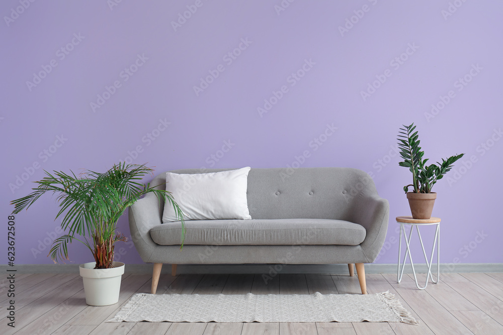 Grey sofa with white pillow near lilac wall