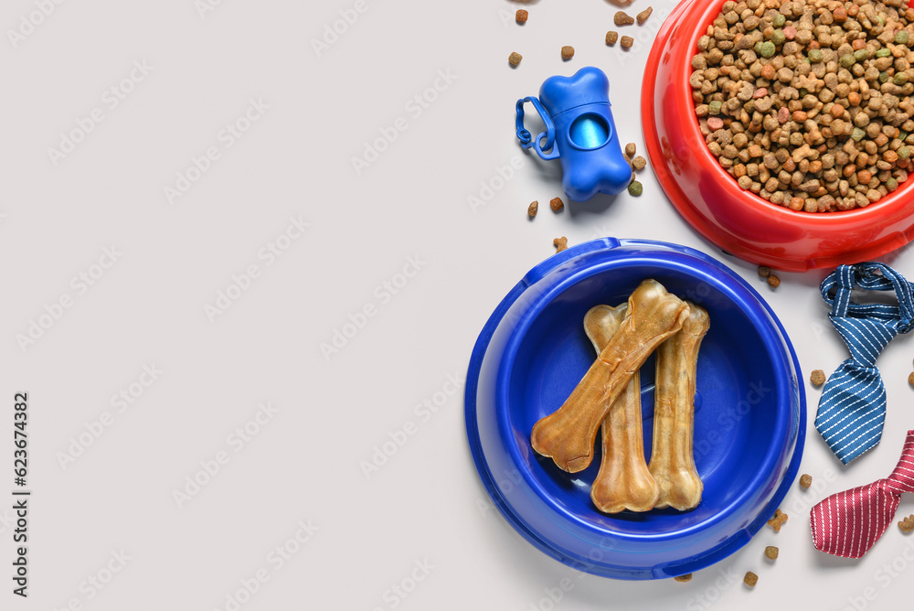 Composition with different dog food and accessories on light background