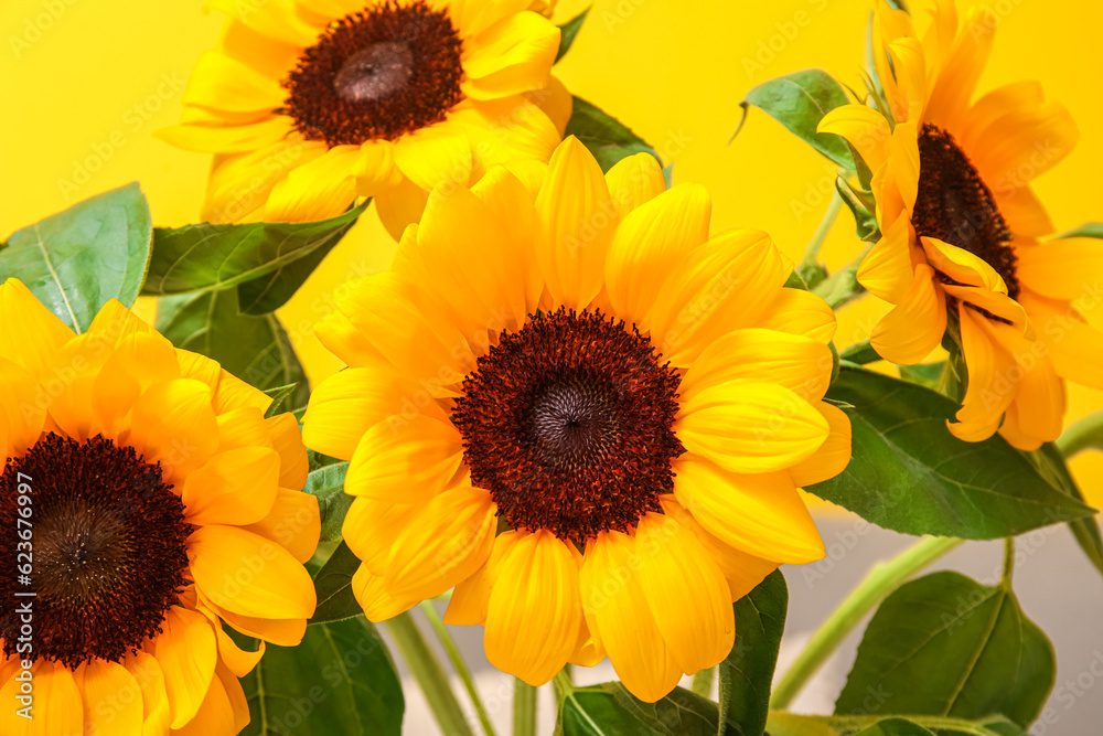 Beautiful sunflowers in living room, closeup