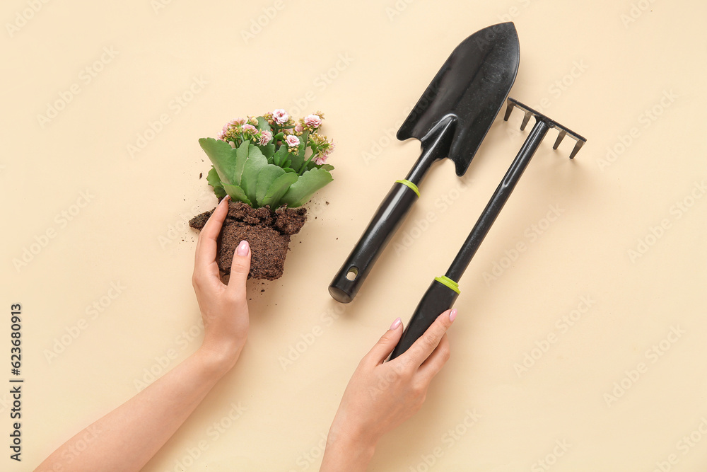 Woman with plant, shovel and rake on beige background