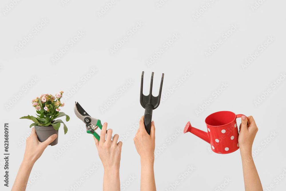 Women with plant and different gardening tools on light background