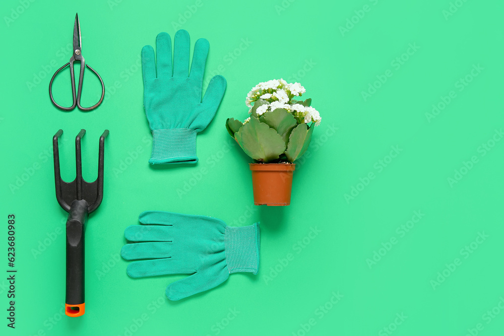 Different gardening tools on green background