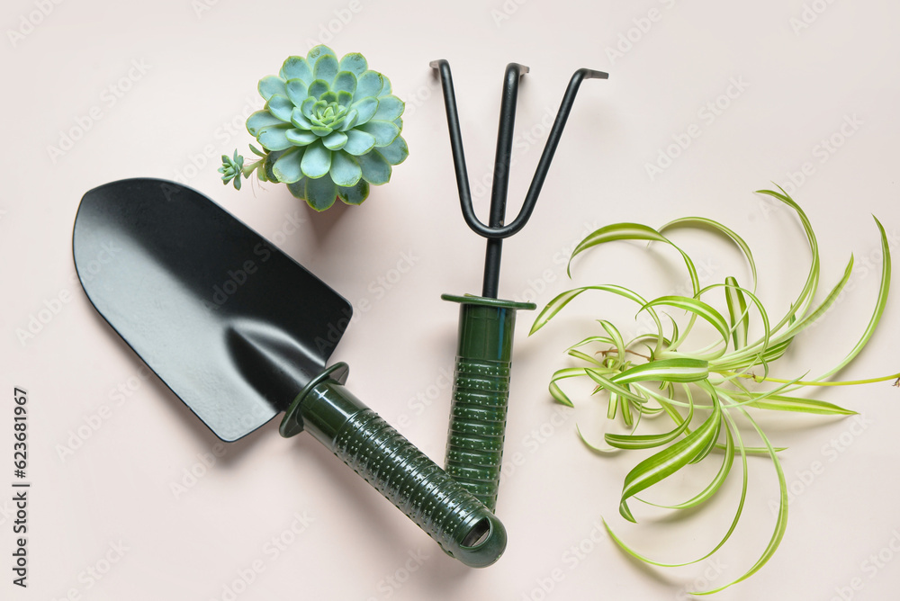 Gardening rake, shovel and plants on white background