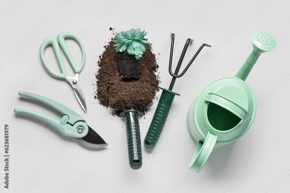 Set of gardening tools and plant in soil on white background