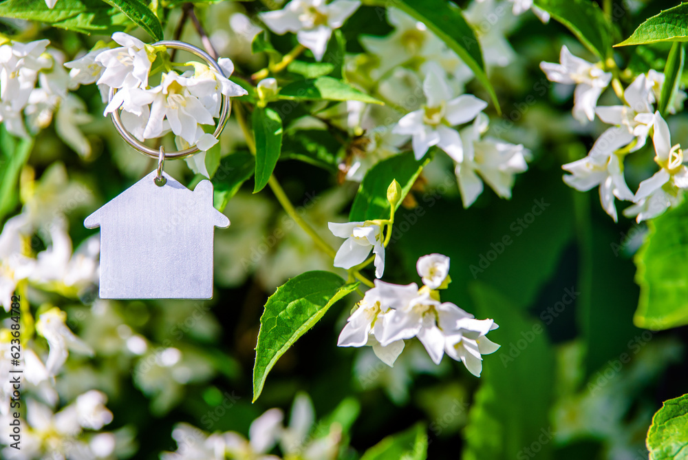 Symbol of the house on the branches of a flowering jasmine 