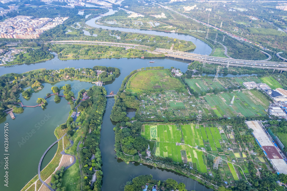 Farmland crops on the edge of Haizhu Lake in Guangzhou