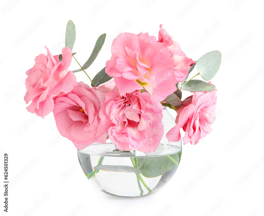 Glass vase with beautiful pink eustoma flowers and eucalyptus on white background