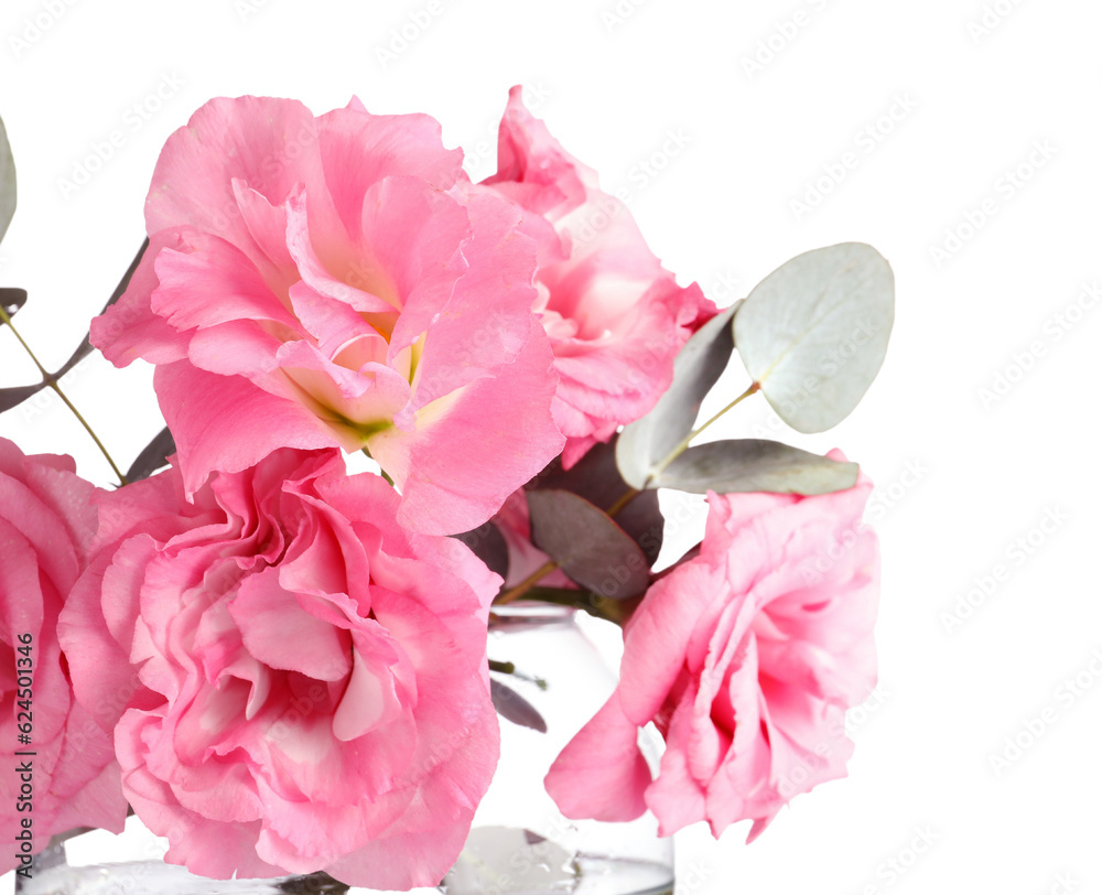 Beautiful pink eustoma flowers and eucalyptus on white background