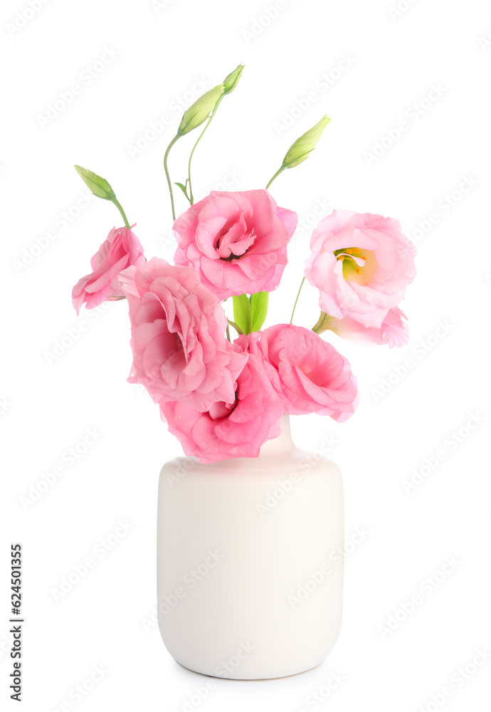 Vase with beautiful pink eustoma flowers on white background