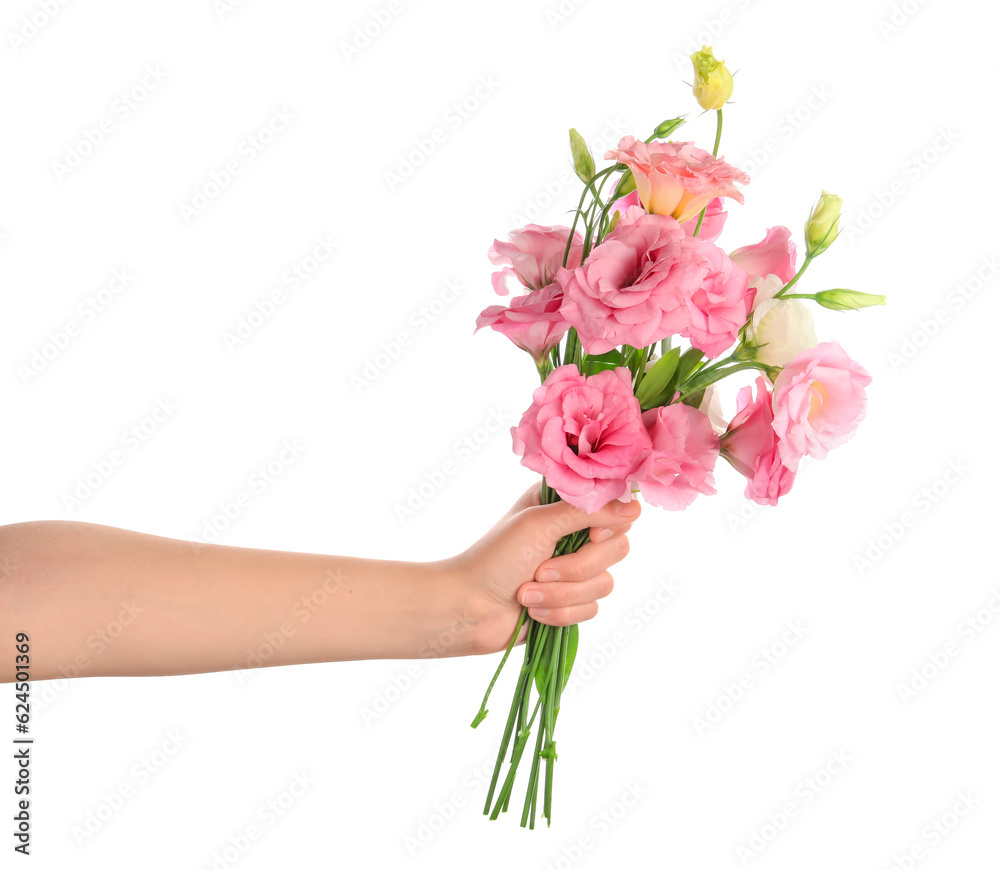 Female hand holding beautiful pink eustoma flowers on white background