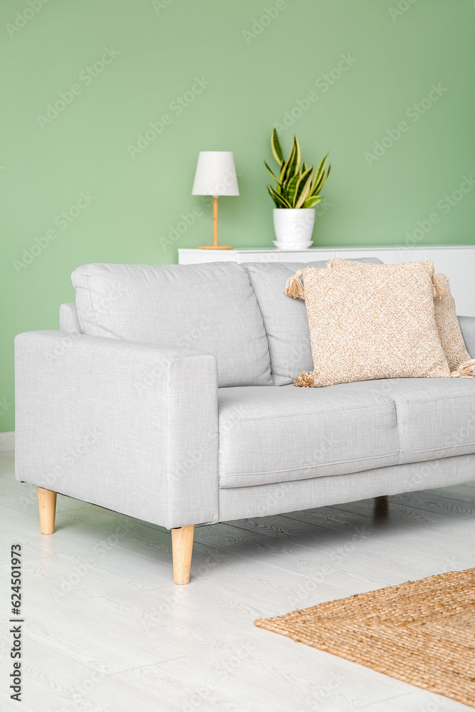 Interior of living room with sofa near green wall