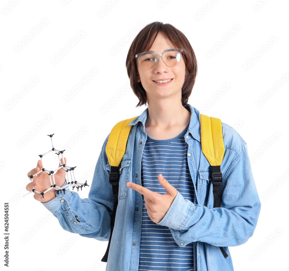 Male student pointing at molecular model on white background