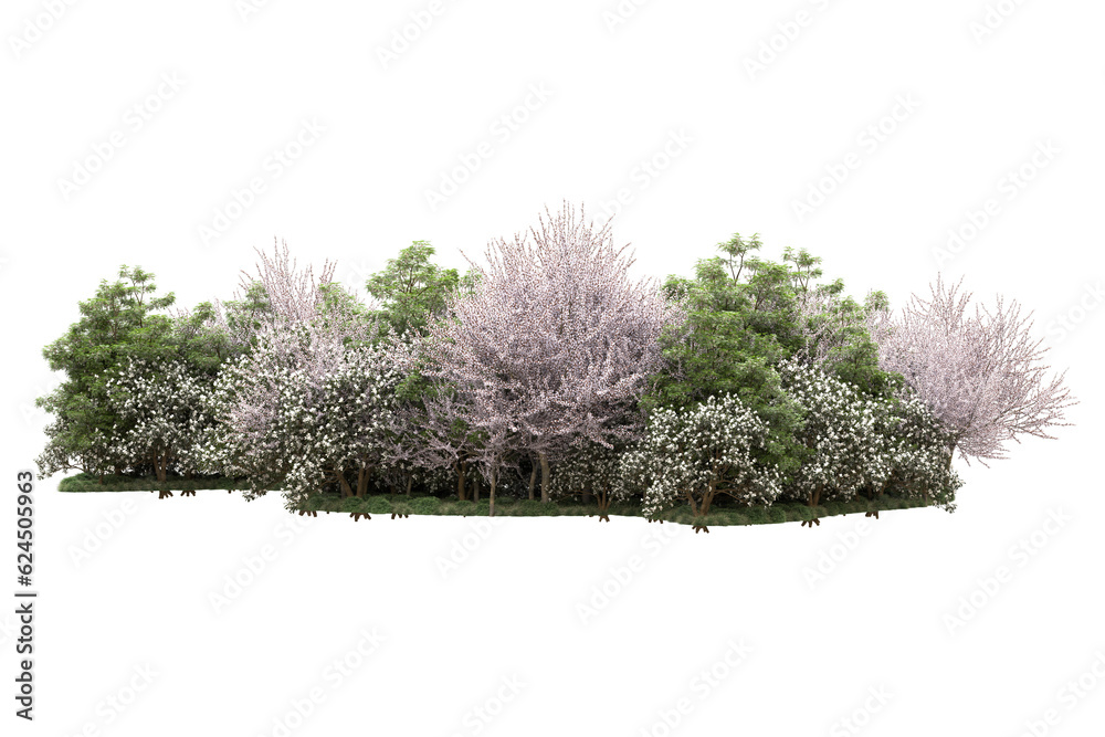 Landscape isolated on transparent background. 3d rendering - illustration