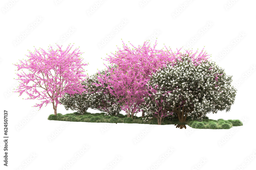 Landscape isolated on transparent background. 3d rendering - illustration