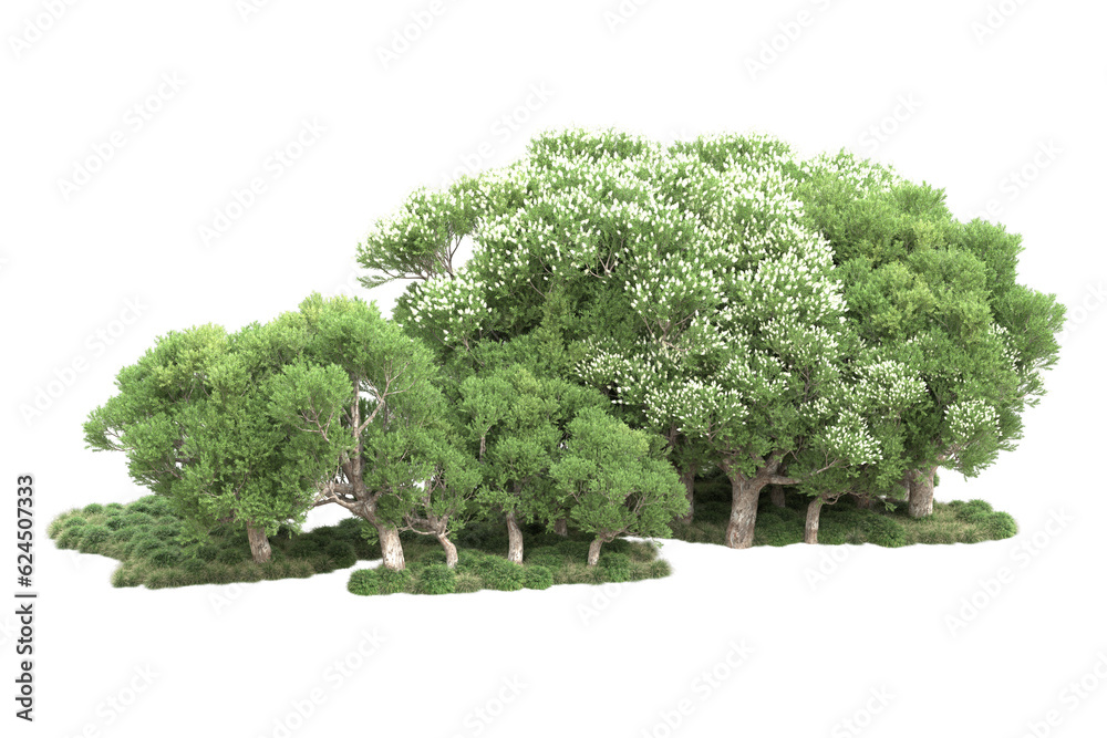 Landscape isolated on transparent background. 3d rendering - illustration