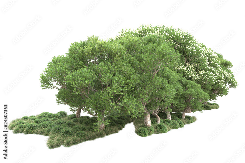 Landscape isolated on transparent background. 3d rendering - illustration