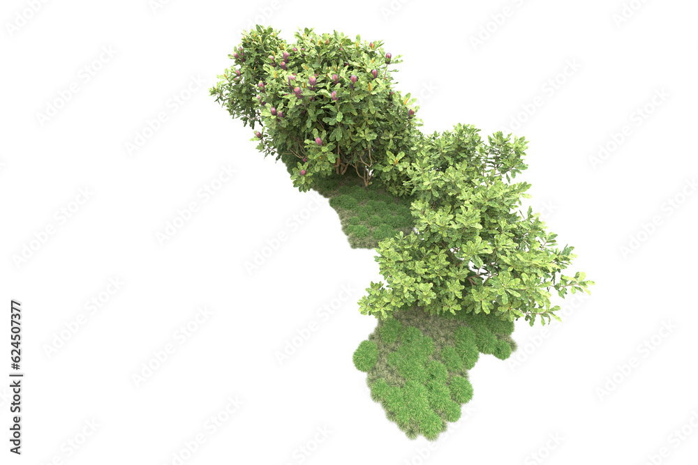 Landscape isolated on transparent background. 3d rendering - illustration