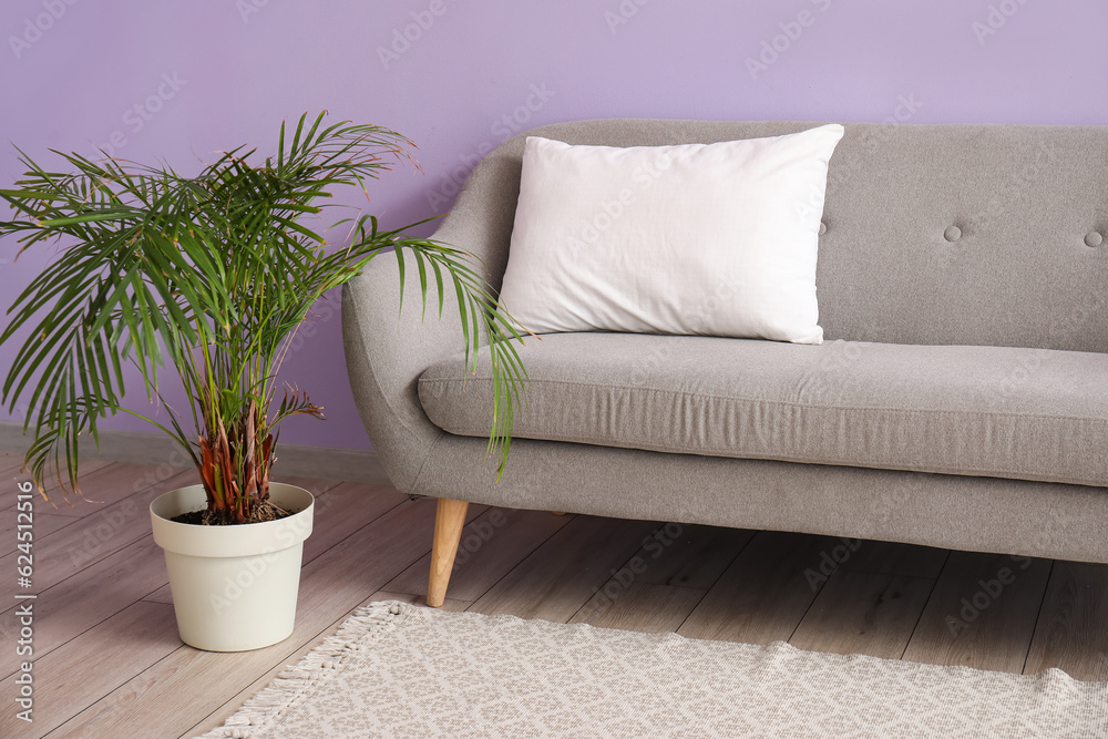 Grey sofa with white pillow near lilac wall