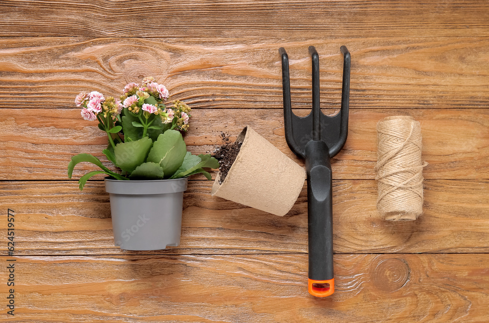 Pots with plant, rake and rope on wooden background