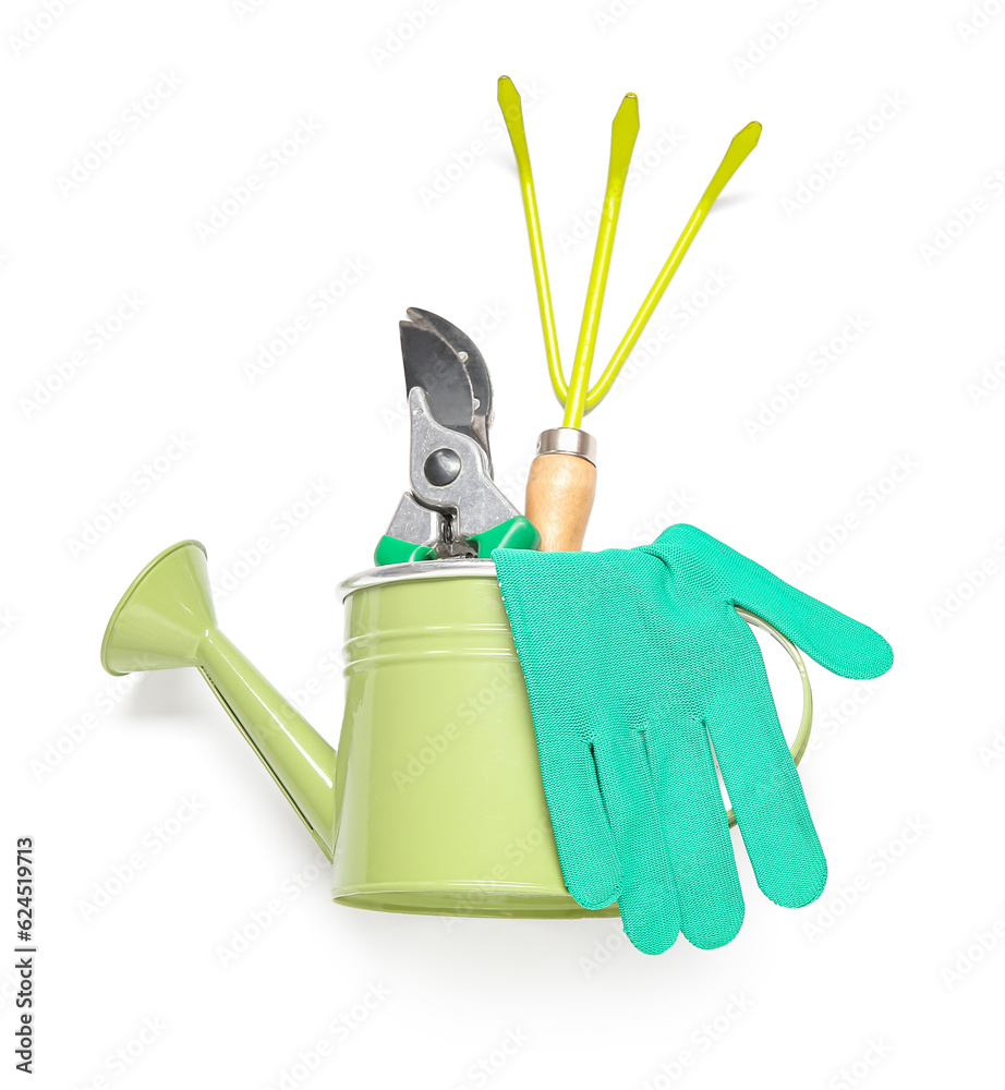 Different gardening tools on white background