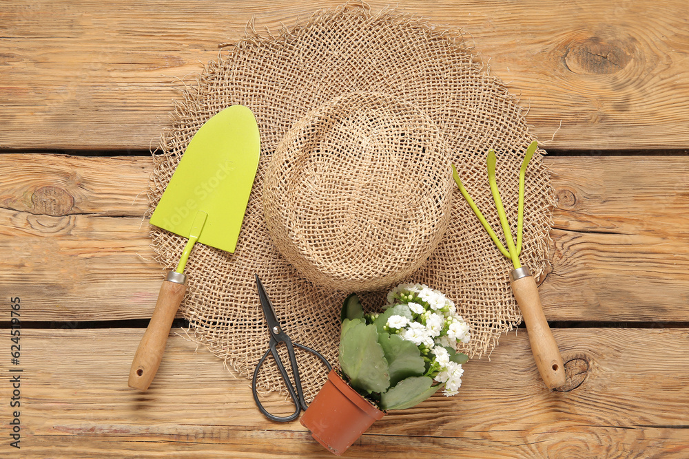 Straw hat, pot with plant and gardening tools on wooden background