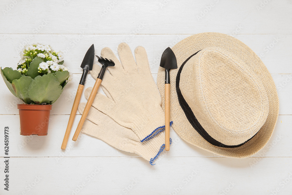 Hat, pot with plant and gardening tools on light wooden background