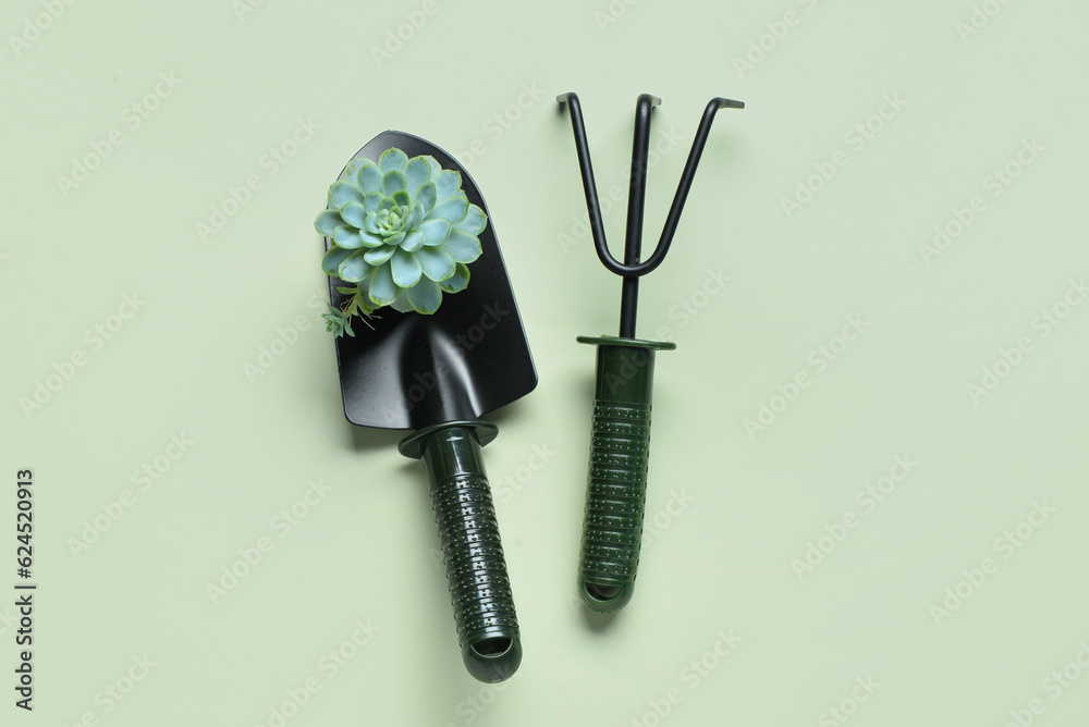 Gardening rake and shovel with plant on green background