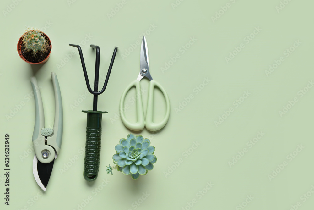 Gardening rake, pruner and scissors on green background