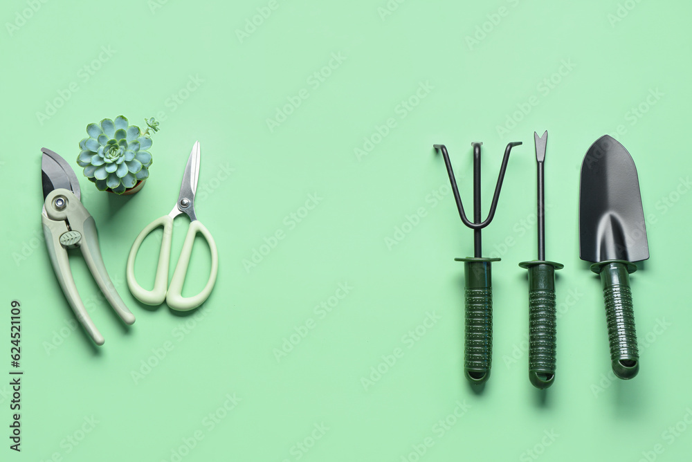 Set of gardening tools on green background