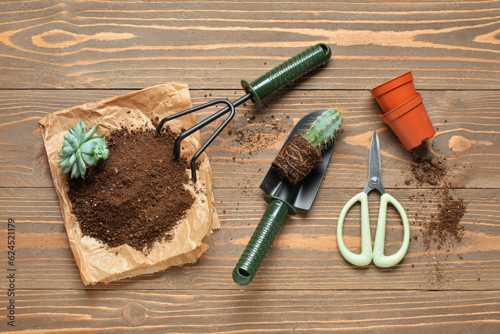 Gardening rake, shovel and plants in soil on wooden background