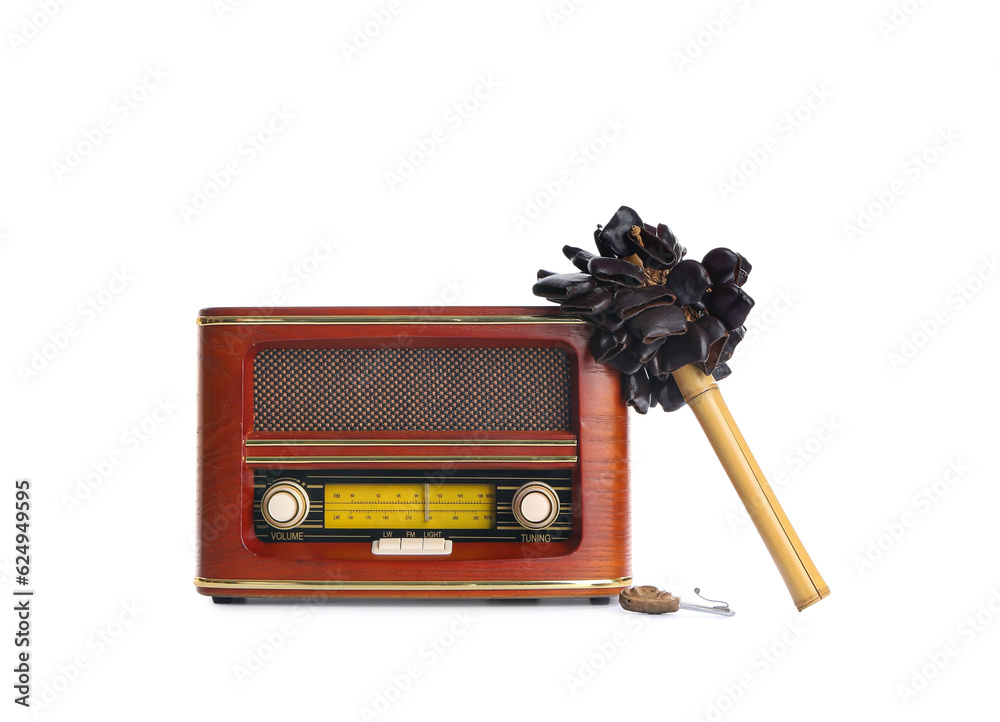 Different musical instruments and retro radio receiver on white background