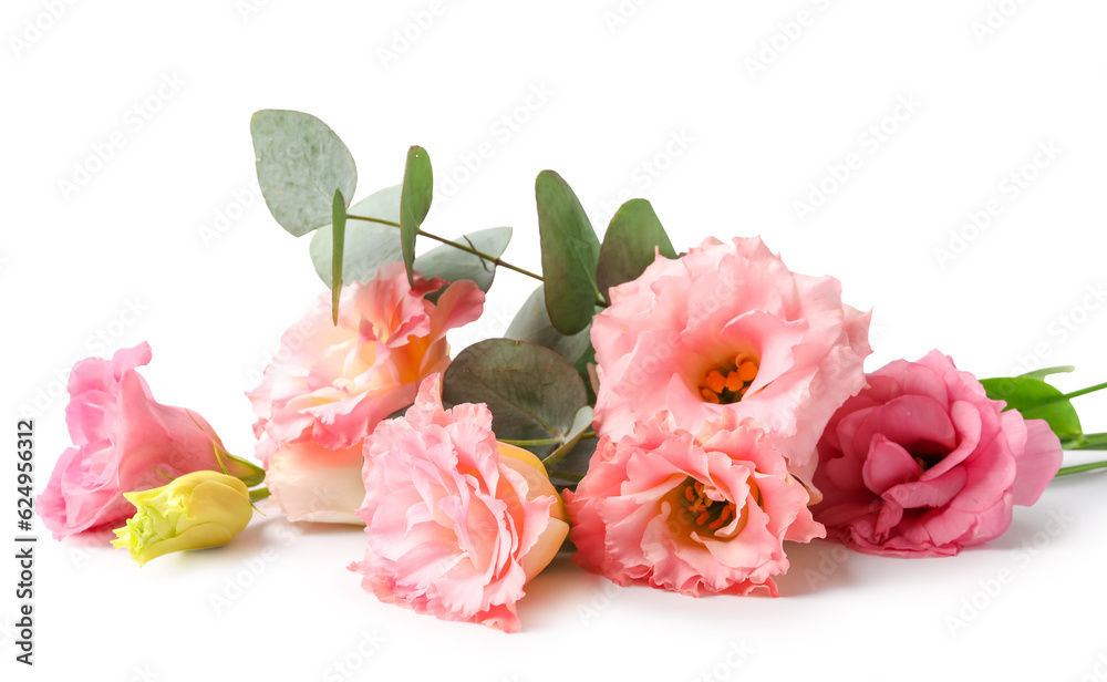 Beautiful pink eustoma flowers and eucalyptus on white background