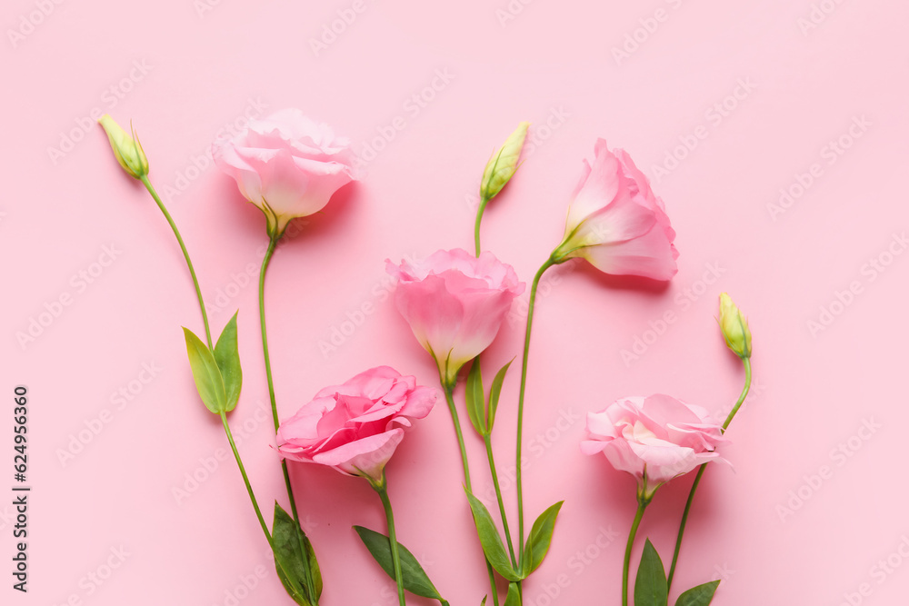 Beautiful pink eustoma flowers on color background