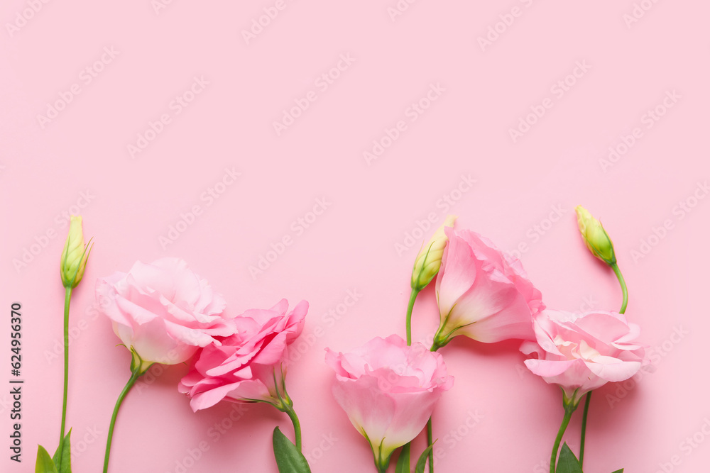 Beautiful pink eustoma flowers on color background